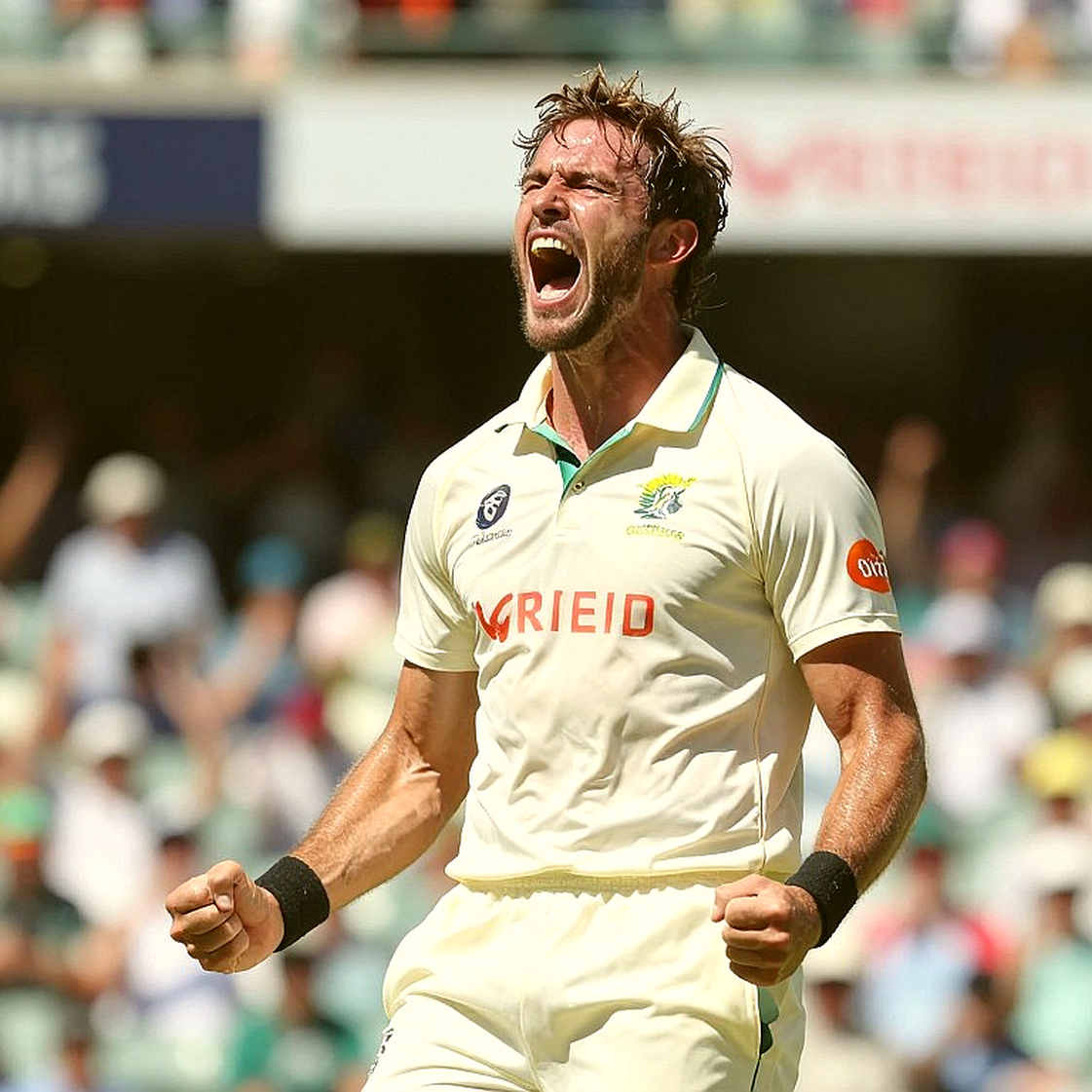 Sofas Inside the cricket_asia File: A Data-Audit Report